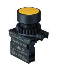 Push-Button Switch