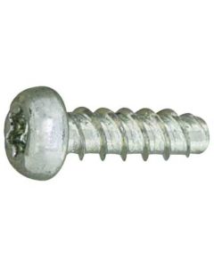 Trivalent zinc cr+3 color white TRX P type Pan Head 2 X 8 T6  กล่องละ 12,000 เส้น