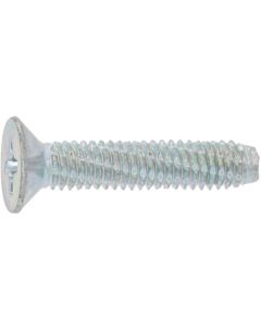 Trivalent zinc cr+3 color white Diamond screw (+) Flat Head 4 X 20  กล่องละ 1,000 เส้น