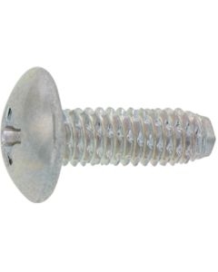 Zinc Yellow Cr6+ Diamond screw (+) Truss Head 4 X 8  กล่องละ 2,000 เส้น