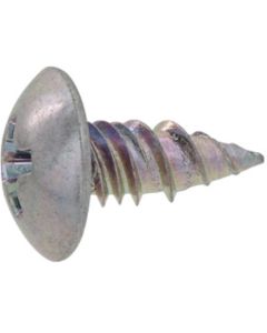 Trivalent zinc cr+3 color white (+) Thinca SD Truss Head 4 X 10  กล่องละ 1,500 เส้น