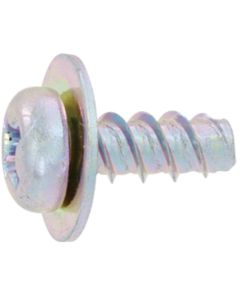 Trivalent zinc cr+3 color white (+) P type (Pan P = 1 3 X 8  กล่องละ 1,500 เส้น