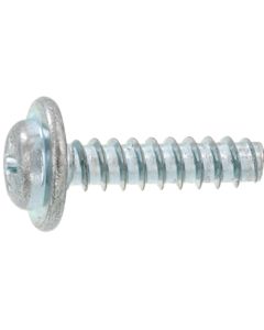 Nickel SP Washer Head B type 3 X 8 กล่องละ 3,000 เส้น