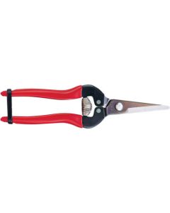 Need Lenose Fruit Clipper 10อัน