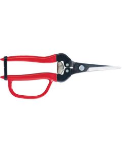 Need Lenose Fruit Clipper 10อัน