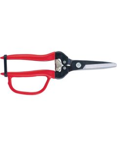 Need Lenose Fruit Clipper 10อัน