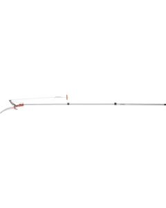 Pruning Shears 1อัน