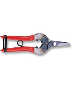 Need Lenose Fruit Clipper 5อัน