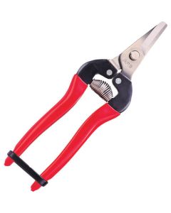 Need Lenose Fruit Clipper 20อัน