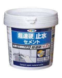 Fast-hardening Waterproof Cement 12 อัน