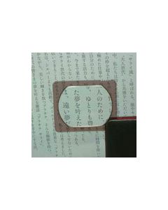 Pocket magnifier with leather case 3X No.3130 1อัน
