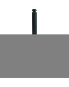 ProHold (RU) Ball End Bit