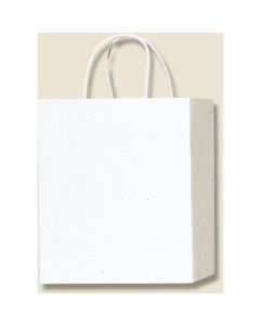 ถุงกระดาษสำหรับช้อปปิ้ง ยี่ห้อ PB Smooth Bag สีขาว ขนาด M-1 แพ็คละ 10 ใบ