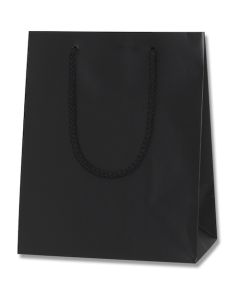 ถุงกระดาษช้อปปิ้ง Bright Bag สีดำ (MT) ขนาด 22-12 แพ็คละ 10 ใบ