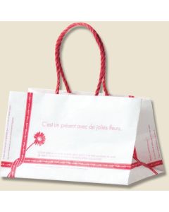 ถุงกระดาษสำหรับช้อปปิ้ง ยี่ห้อ Ruban รุ่น P-Smooth Bag แพ็คละ 25 ใบ