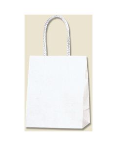 ถุงกระดาษสำหรับช้อปปิ้ง ถุงเรียบ สีขาวล้วน ขนาด 16-09 บรรจุแพ็คละ 25 ใบ