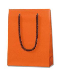 ถุงกระดาษสำหรับช้อปปิ้ง Bright Bag สีส้มเข้ม (แบบด้าน) ขนาด MM บรรจุ 10 ใบต่อแพ็ค