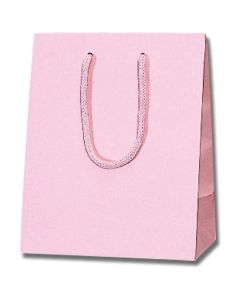 ถุงกระดาษสำหรับช้อปปิ้ง ถุงใส่ของแบบเรียบๆ สีชมพู ขนาด 20-12 แพ็คละ 10 ใบ