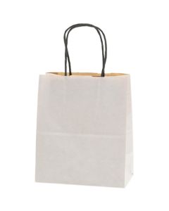 ถุงช้อปปิ้งกระดาษ 25 ใบ ถุงใส่ของจุกจิก 21-12 ชิ้น Eco Duo WH แพ็คละ 50 ชิ้น