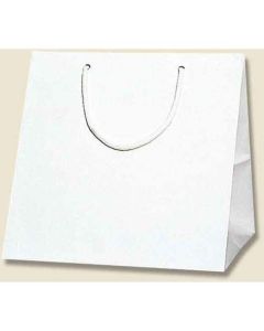 ถุงกระดาษช้อปปิ้ง Bright Bag สีขาว ขนาด C1 แพ็คละ 10 ใบ