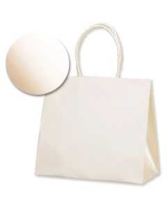 ถุงกระดาษสำหรับช้อปปิ้ง ถุงเรียบ ขนาด 24-11 สีมุก สีขาว แพ็คละ 10 ใบ