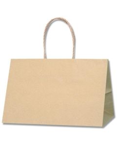 ถุงกระดาษสำหรับช้อปปิ้ง P-Smooth Bags ไม่ฟอกขาว สีพื้น ขนาด 31-19 บรรจุ 25 ใบ