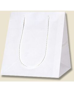 ถุงกระดาษสำหรับช้อปปิ้ง สีขาวล้วน ขนาด SS แพ็คละ 10 ใบ