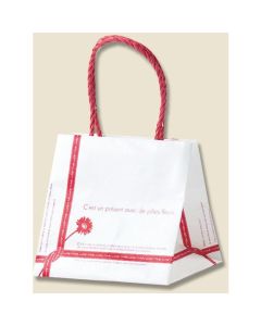 ถุงกระดาษสำหรับช้อปปิ้ง P-Smooth Bag ขนาด 18-18 นิ้ว ยี่ห้อ Ruban บรรจุ 25 ชิ้นต่อแพ็ค