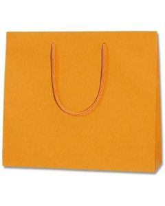 ถุงกระดาษธรรมดา สีส้ม สำหรับเด็กอายุ 3 ขวบขึ้นไป แพ็คละ 10 ใบ