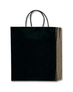 ถุงกระดาษสำหรับช้อปปิ้ง ยี่ห้อ PB Smooth Bag สีดำ รุ่น M-1 แพ็คละ 10 ใบ