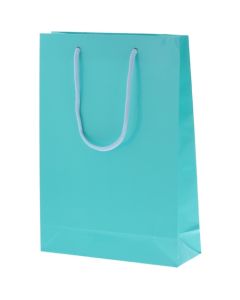 ถุงกระดาษสำหรับช้อปปิ้ง สีฟ้าอ่อน SWT แพ็คละ 10 ใบ