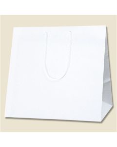 ถุงกระดาษสำหรับช้อปปิ้ง สีขาวล้วน ขนาดเล็ก บรรจุแพ็คละ 10 ใบ