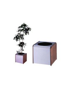Planter WS 1อัน