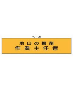 Arm Band 1แผ่น