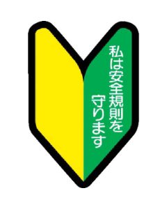 Helmet Stickers