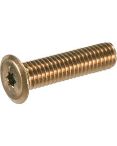 สกรูหัวหกเหลี่ยมต่ำพิเศษ สเตนเลส บรอนซ์ M6 x 30 แพ็คละ 10 ตัว