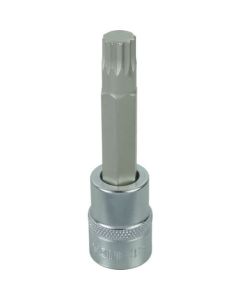 Triple Square Socket 1อัน