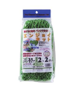 Enjoy Net Green 2M X 2M 10แผ่น