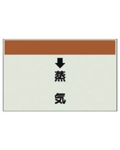 แผ่นระบุท่อ (สำหรับท่อแนวตั้ง) ↓ ไอน้ำ (ขนาดกลาง), แผ่น Uni, 250 x 700