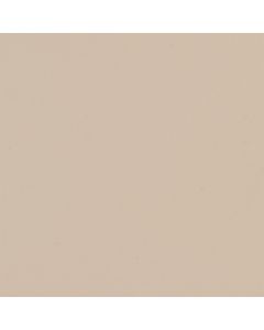พื้นไวนิลนำไฟฟ้า CD-leum (สีเบจ) No. CD-134