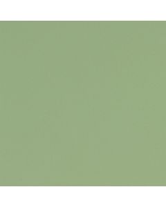 พื้นไวนิลนำไฟฟ้า CD-leum (สีเขียว) No. CD-138