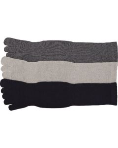 Working Socks ชุดละ 6คู่