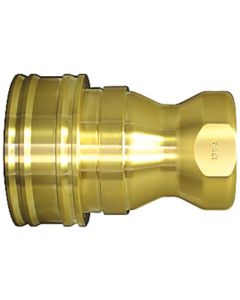 SP Coupler Type A, ทองเหลือง, ยางฟลูออโร FKM, X-100 (19121)