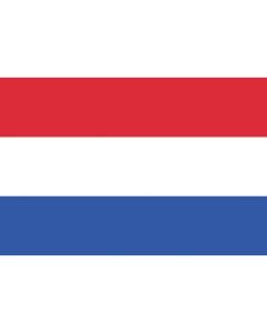 Flag 1แผ่น