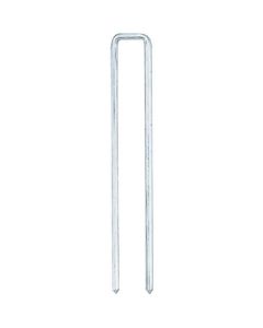 Nailer for Staple
