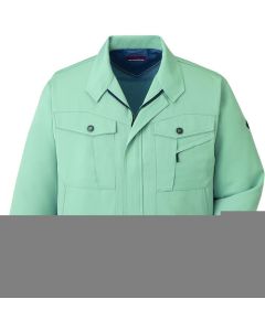 สเปรย์ฉีดผม Blouson สีเขียว LL