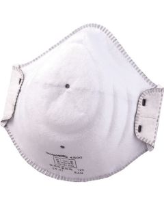 Disposable Dust Respirator (20 Set)