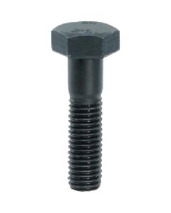 10.9 Hex Bolt Plain
