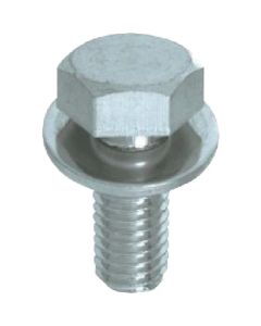 Trimmed Head Bolt With Washer (P-1) Zinc Plating Cr3+
