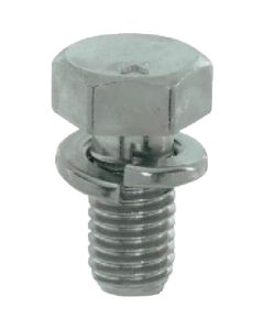 Trimmed Head Bolt With Spring Washer (P-2) Zinc Plating Cr3+